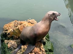 -西霞口神雕山野生动物世界