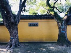 -西园戒幢律寺