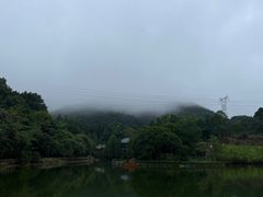 -广州市帽峰山景区