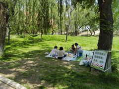-太阳宫公园