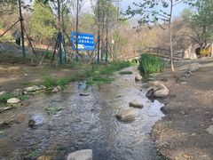 -白水寺森林公园