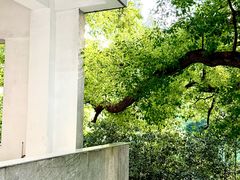 -湖北美术学院(昙华林校区)