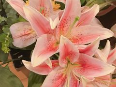 -森野花艺培训·企业团建活动沙龙