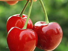 -樱桃山旅游景区