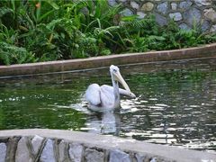 -吉隆坡雀鸟公园