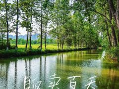 -洋湖国家湿地公园