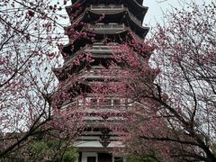 -洋湖国家湿地公园