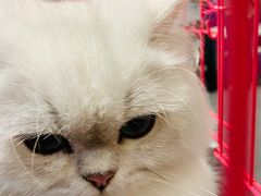 -首开·龙湖成都西宸天街
