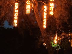 -万泉公园