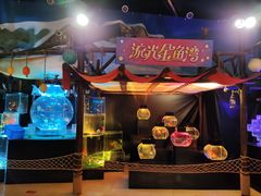 -海合安青岛极地海洋公园