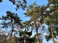 -浙江西子宾馆·瑶园咖啡厅