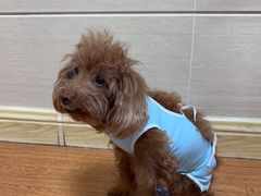 -北京观赏动物医院·24小时大型综合·猫专科·异宠专科