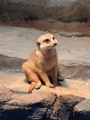 -Zoolung Zoolung动物主题公园(海信广场店)