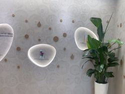 -dōTERRA多特瑞精油生活馆