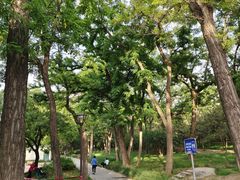 -元大都城垣遗址公园