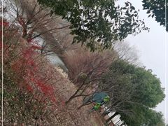 -长兴太湖图影湿地文化园