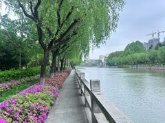 -嘉定紫藤园