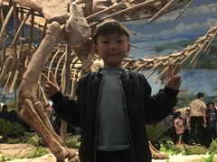 -自贡恐龙博物馆