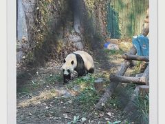 -北京动物园