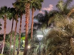 -福建鲤鱼洲酒店