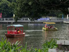 -荔湾湖公园