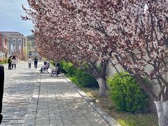 -清风小镇闯关东影视基地