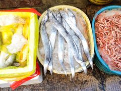 -海坛特色小吃·只做平潭特色菜(平潭店)