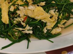 -新疆兵团食府清真(马连道店)