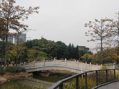 -映月湖公园