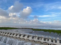-南汇嘴观海公园