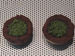 -喜茶(迪士尼小镇DP店)