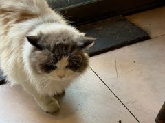 -嵊州特色小吃(萧山街店)