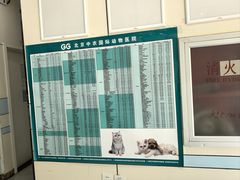 -中农国际动物医院24小时·猫科·骨科·急重症中心