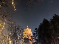 -大雁塔北广场音乐喷泉
