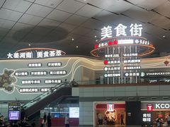 -郑州新郑国际机场-T2航站楼