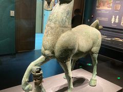 -广西壮族自治区博物馆