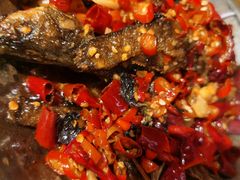 -老乡村(南湖路店)