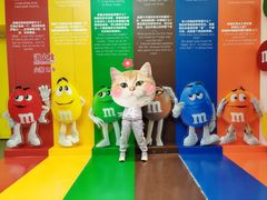 -m豆巧克力世界(上海世茂广场店)