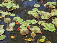 -终南山南五台景区