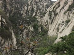 -北京凤凰岭
