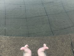 -柳浪游泳场