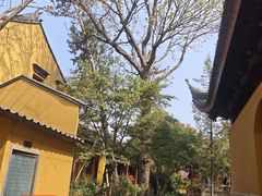 -灵岩山风景区