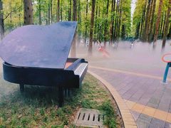 -黄海国家森林公园