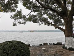 -九曜山