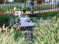 -前小桔亲子创意农场·草莓采摘·露营烧烤