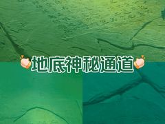 -白鹤梁水下博物馆