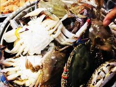 -沿海渔家院蒸汽海鲜·东北菜(东戴河店)