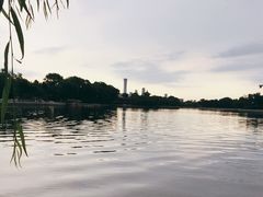 -后海公园