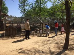 动物园-意大利农场度假村