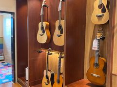 -知音艺术教育培训·钢琴培训·音乐培训(河西金鹰世界校区)